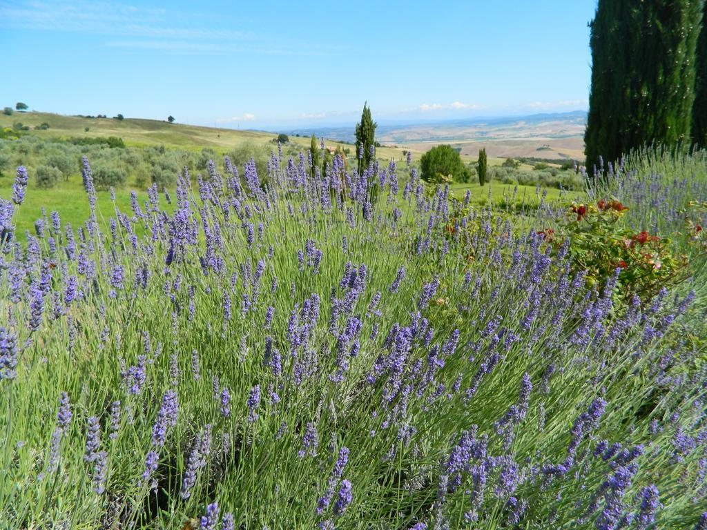Campiglia dʼOrciaLe Rogheta别墅 外观 照片