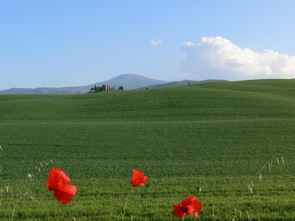 Campiglia dʼOrciaLe Rogheta别墅 外观 照片